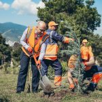 თბილისის გამწვანება – ხუდადოვის ტყეში გამწვანებისა და დასუფთავების აქცია გაიმართა — შენი თბილისი