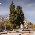ახალი ხეივანი თბილისაი — შალვა ჭანკოტაძის ქუჩაზე მწვანე სივრცე მოეწყობა — შენი თბილისი