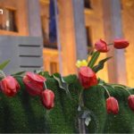 რა ხდება თბილისში აპრილში – საუკეთესო ღონისძიებების სია ღონისძიებები