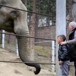 ზოოპარკის ბიუჯეტი 4 მილიონი ლარია — როგორ გადაანაწილებს თბილისის ზოოპარკი თანხებს — შენი თბილისი