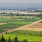 თბილისში 5,464 ოჯახისთვის მიწის რეგისტრაციის ახალი პროექტი იწყება — შენი თბილისი