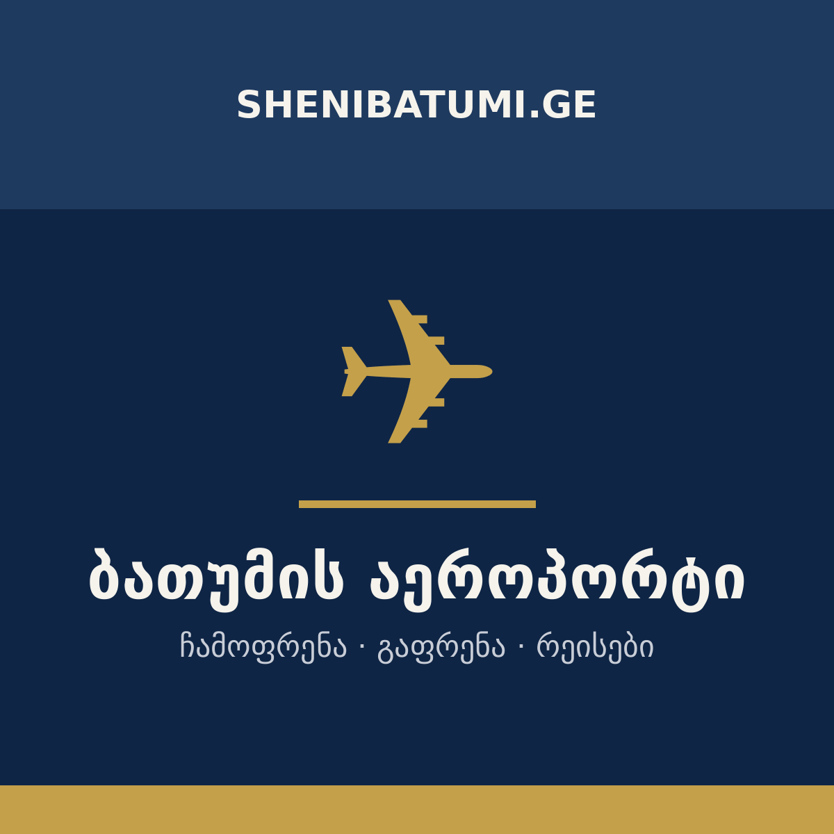 თბილისის აეროპორტი — shenitbilisi.ge