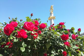 თავისუფლების მოედანი — თბილისი, საქართველო