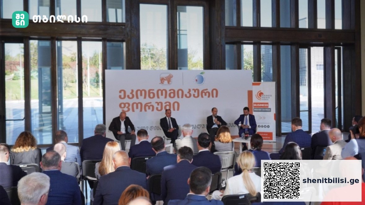 თბილისი ეკონომიკური ფორუმს მანსპინძლობს — შენი თბილისი