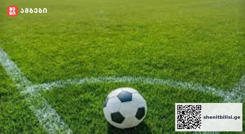 თბილისში ახალი ეროვნული სტადიონის მშენებლობის ვიზუალიზაცია ქალაქის პანორამით